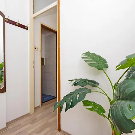 Stay Inn Split * 斯普利特